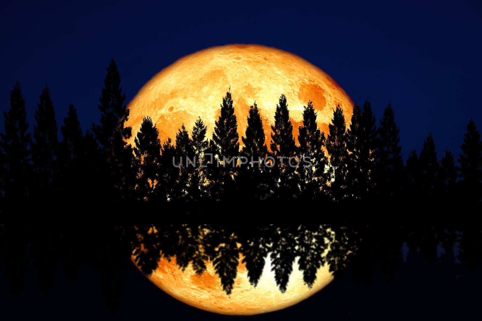reflection super corn planting blood moon rise back top pine clear cloud on the night sky