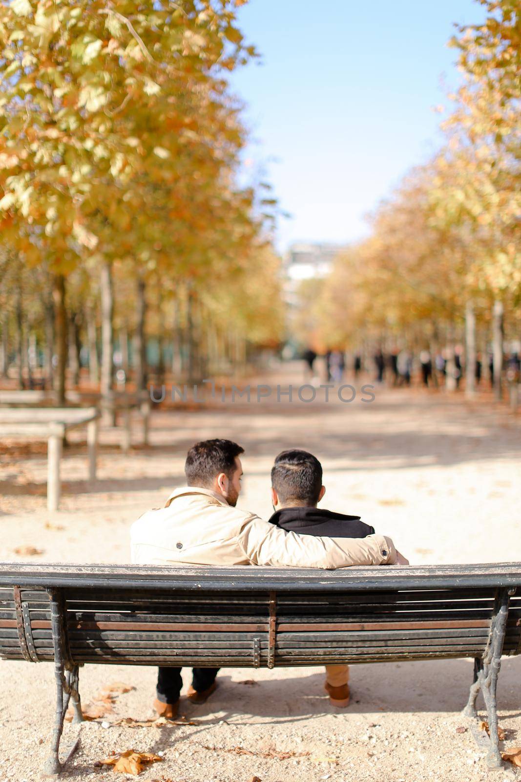Back view of two hugging happy gays sitting on bench in autumn park. Concept of same sex couple and resting outside.