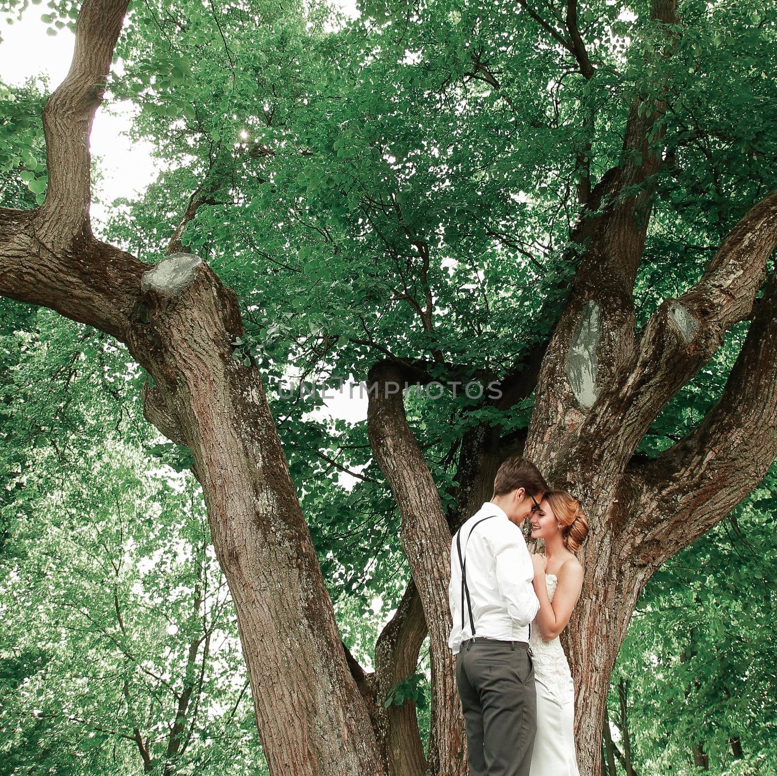 happy newlyweds standing near a large spreading tree. romantic moment