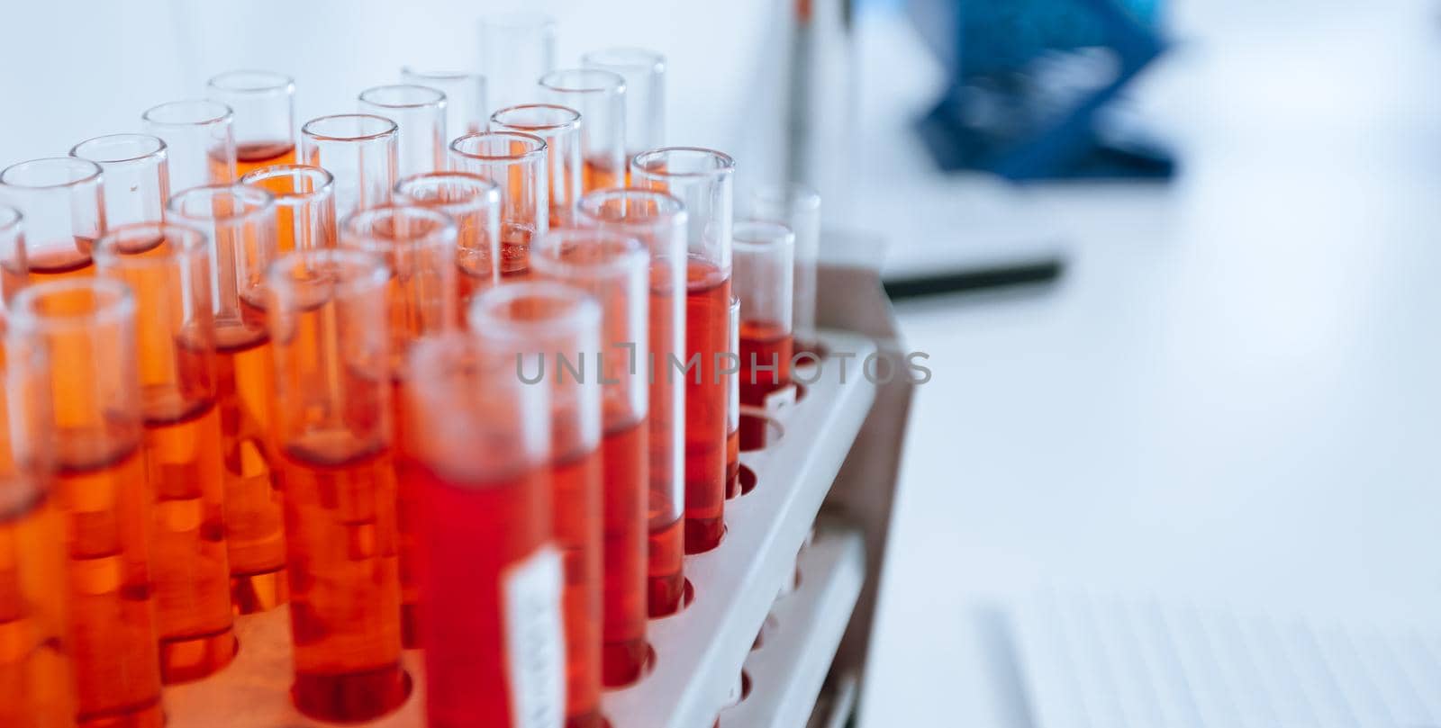 close up. container with test tubes on the table in the laboratory. photo with a copy-space.