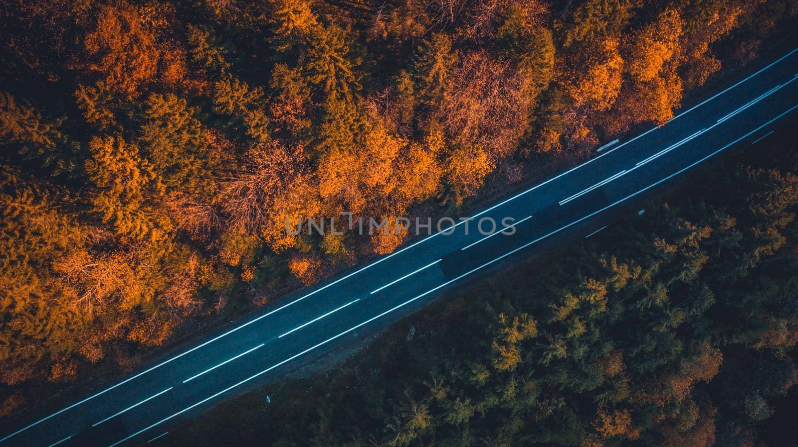 Top view of empty paved road going between autumn trees