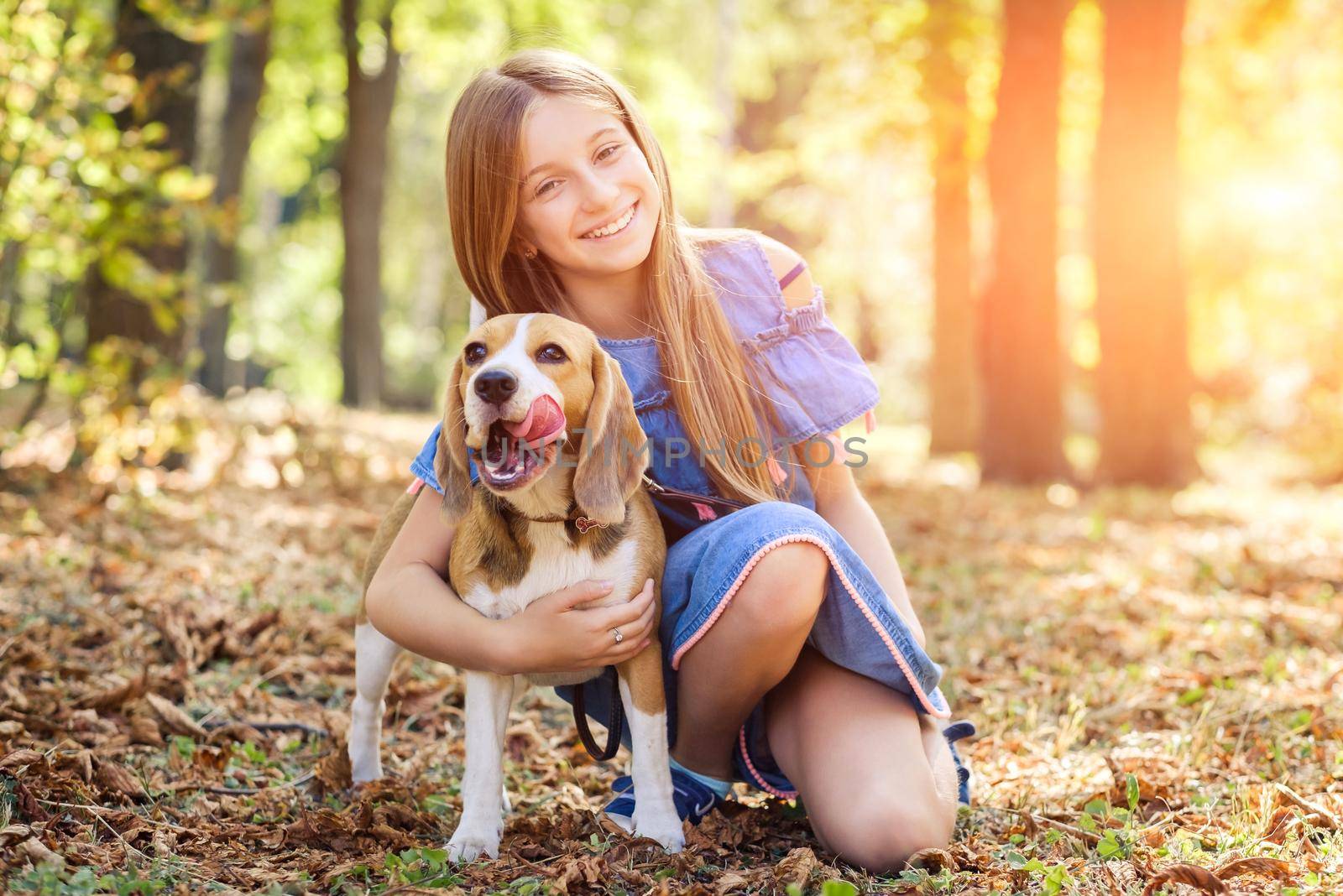 Beagle dog and smiling girl in golden forest