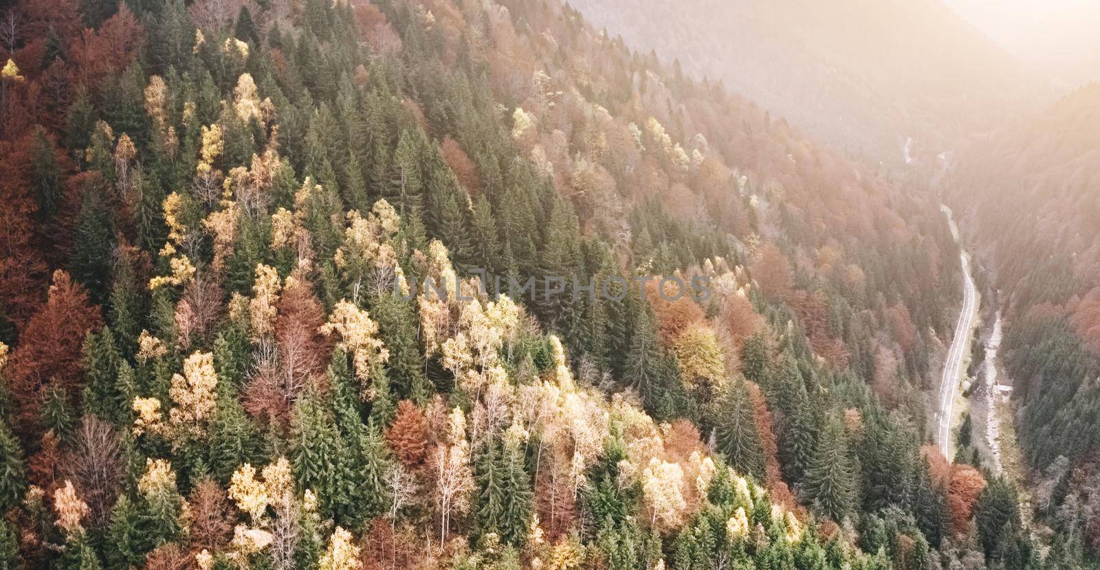 Paved road going through mountain forest