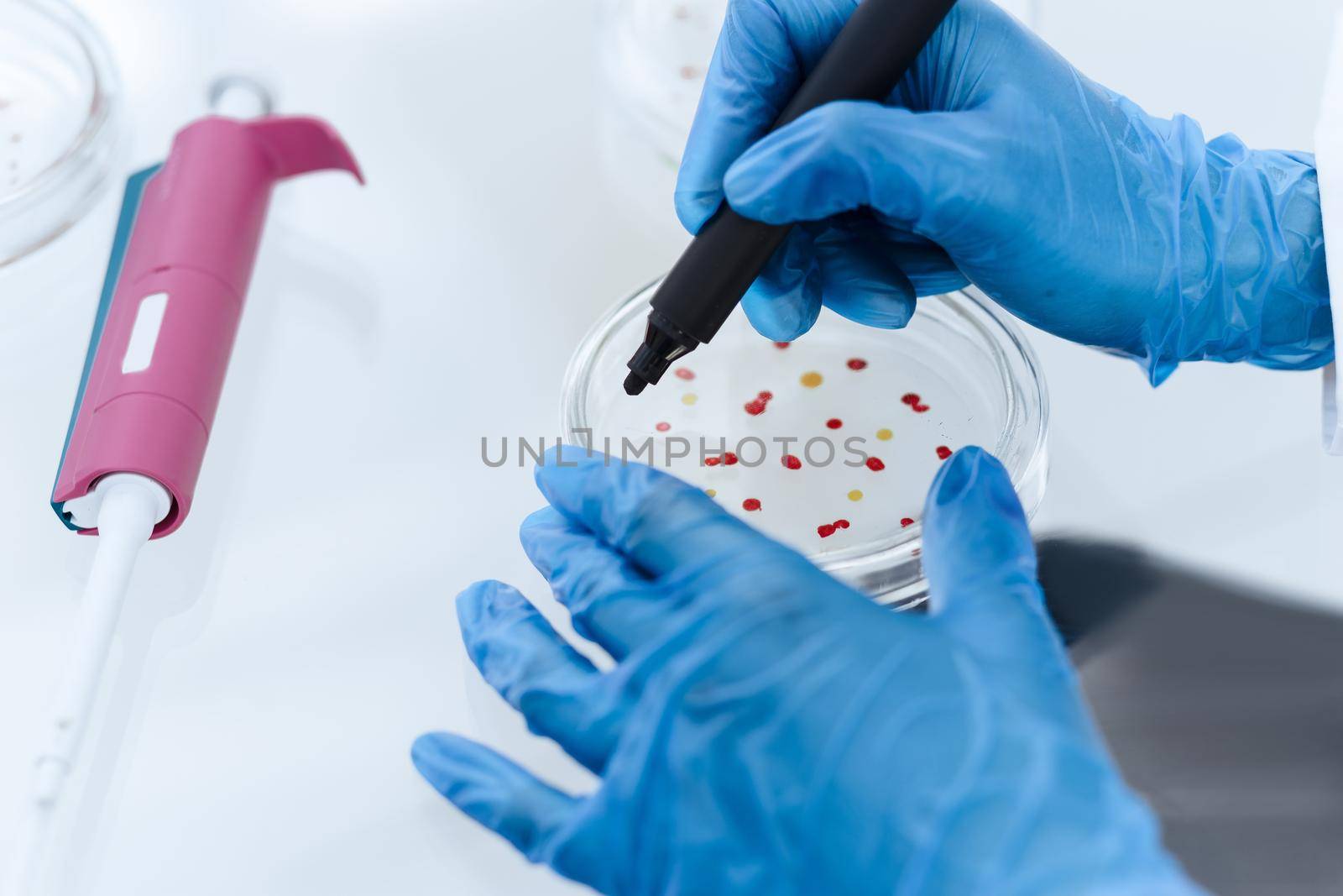 close up. scientist marking a Petri dish with viral bacteria. science and health.