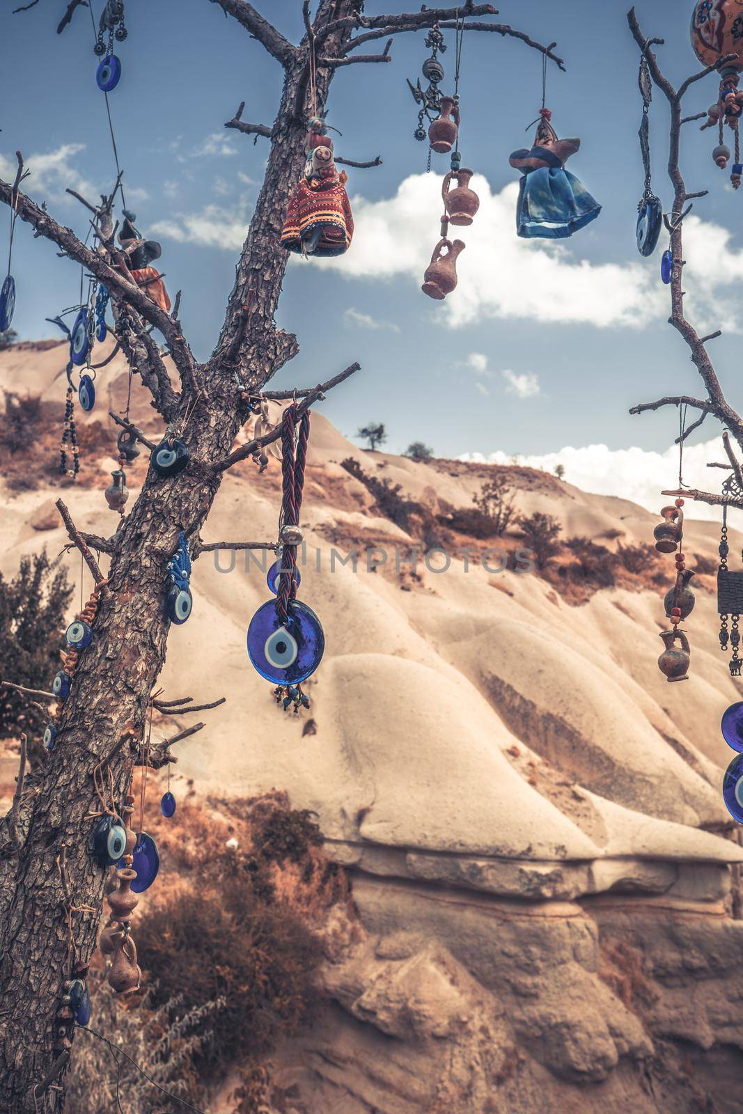 Amulets against evil eye hanging on tree branch