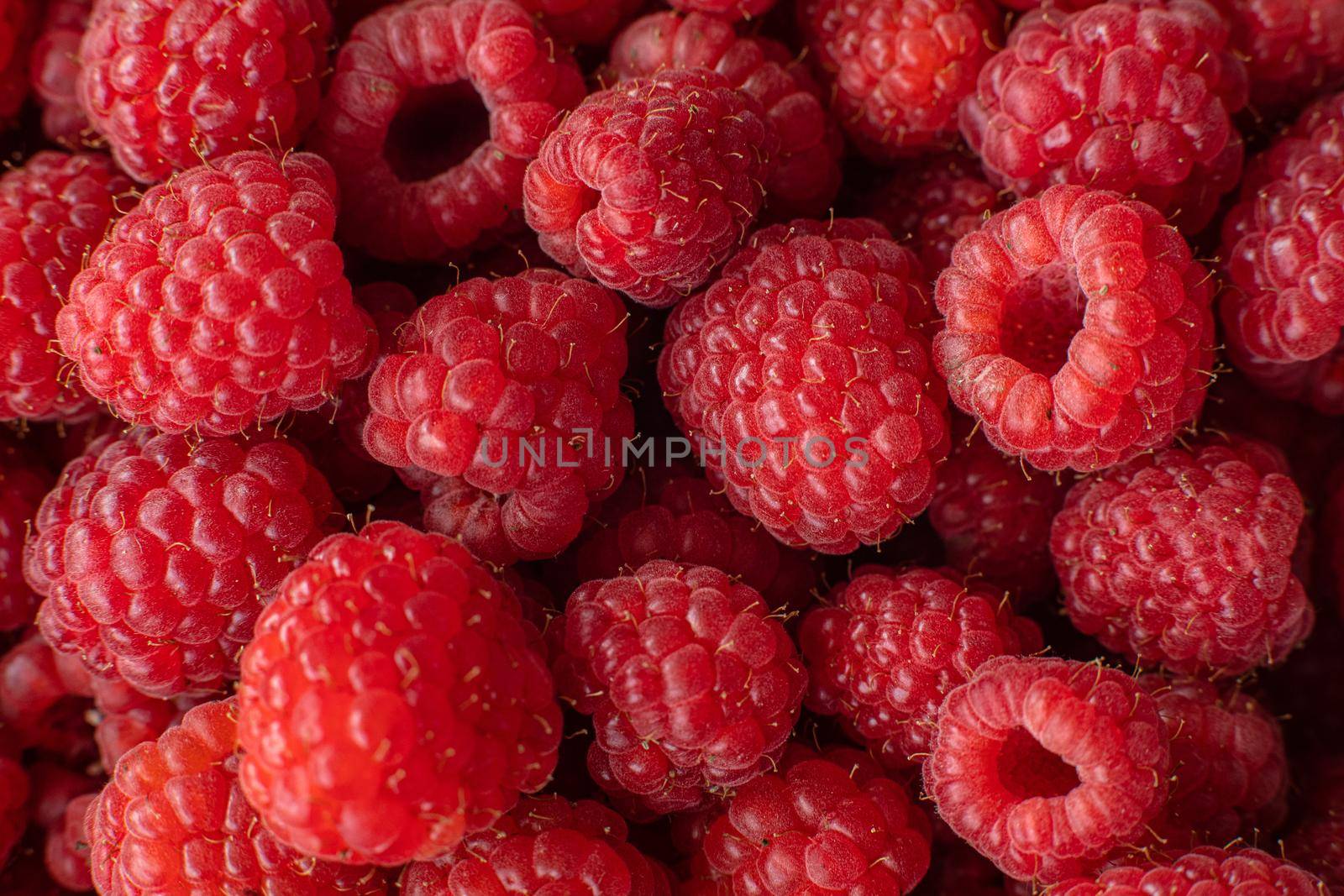 Macro shot of fresh delicious heap of succulent and juicy raspberries from above.