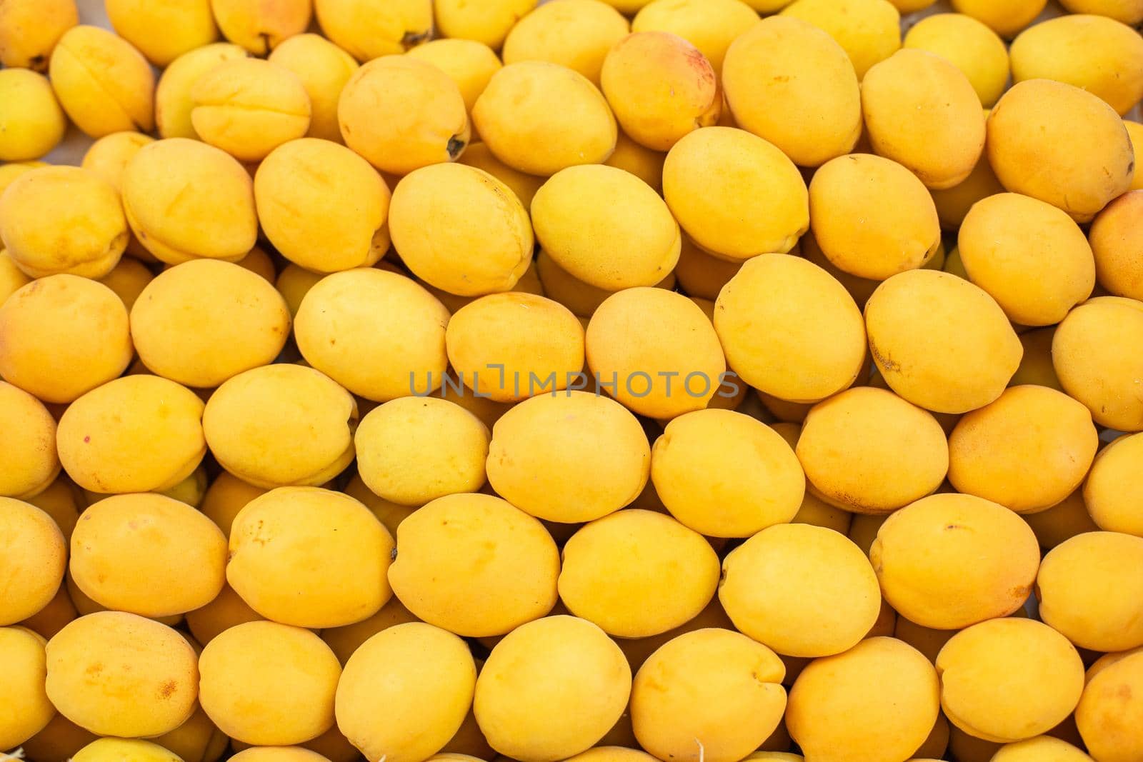 Close-up of many fresh juicy yellow apricots arranged in the supermarket or market in the summer. Seasonal fruit.