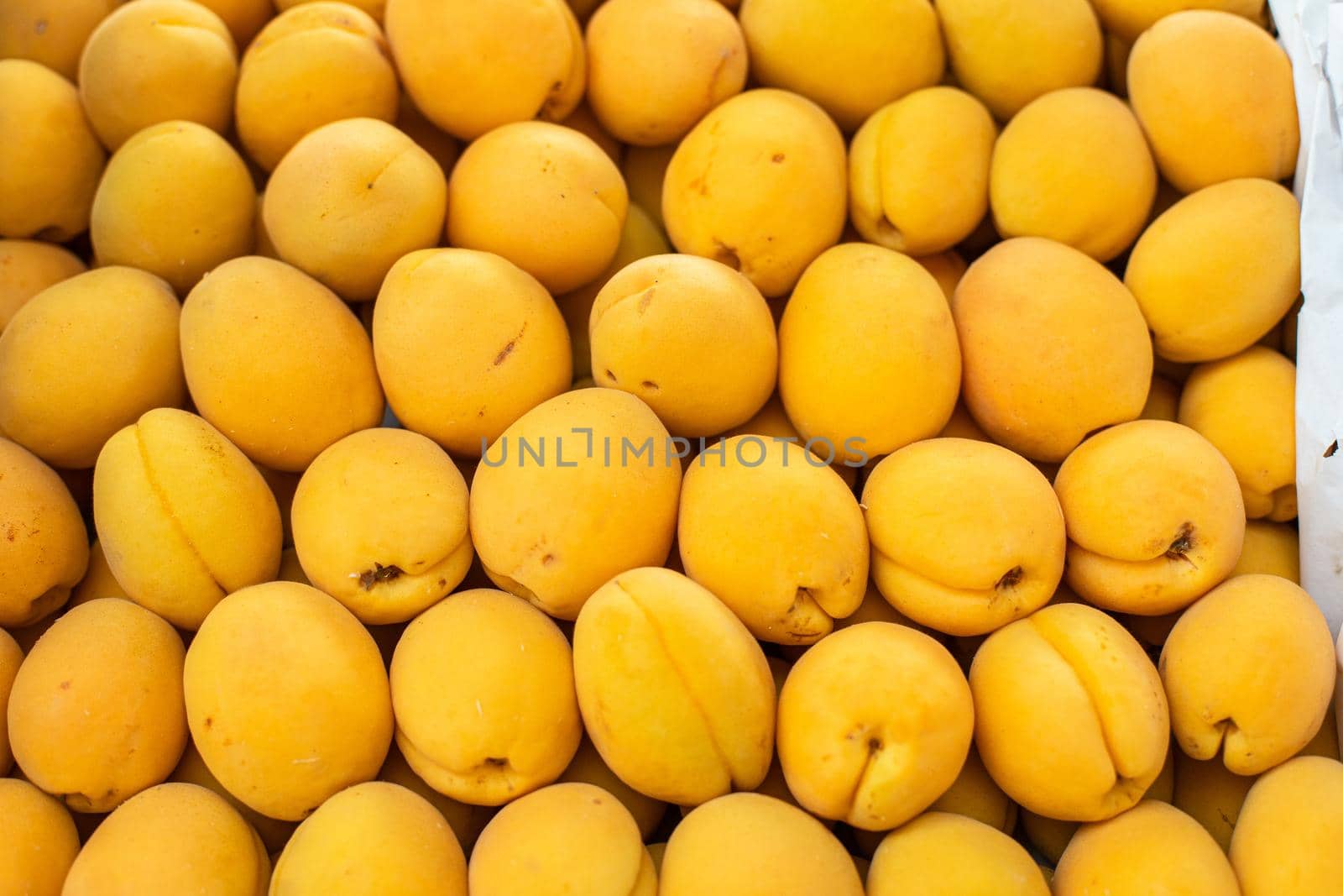 Beautiful picture with a lot of big, fresh, yellow apricot sold on the market by StudioLucky