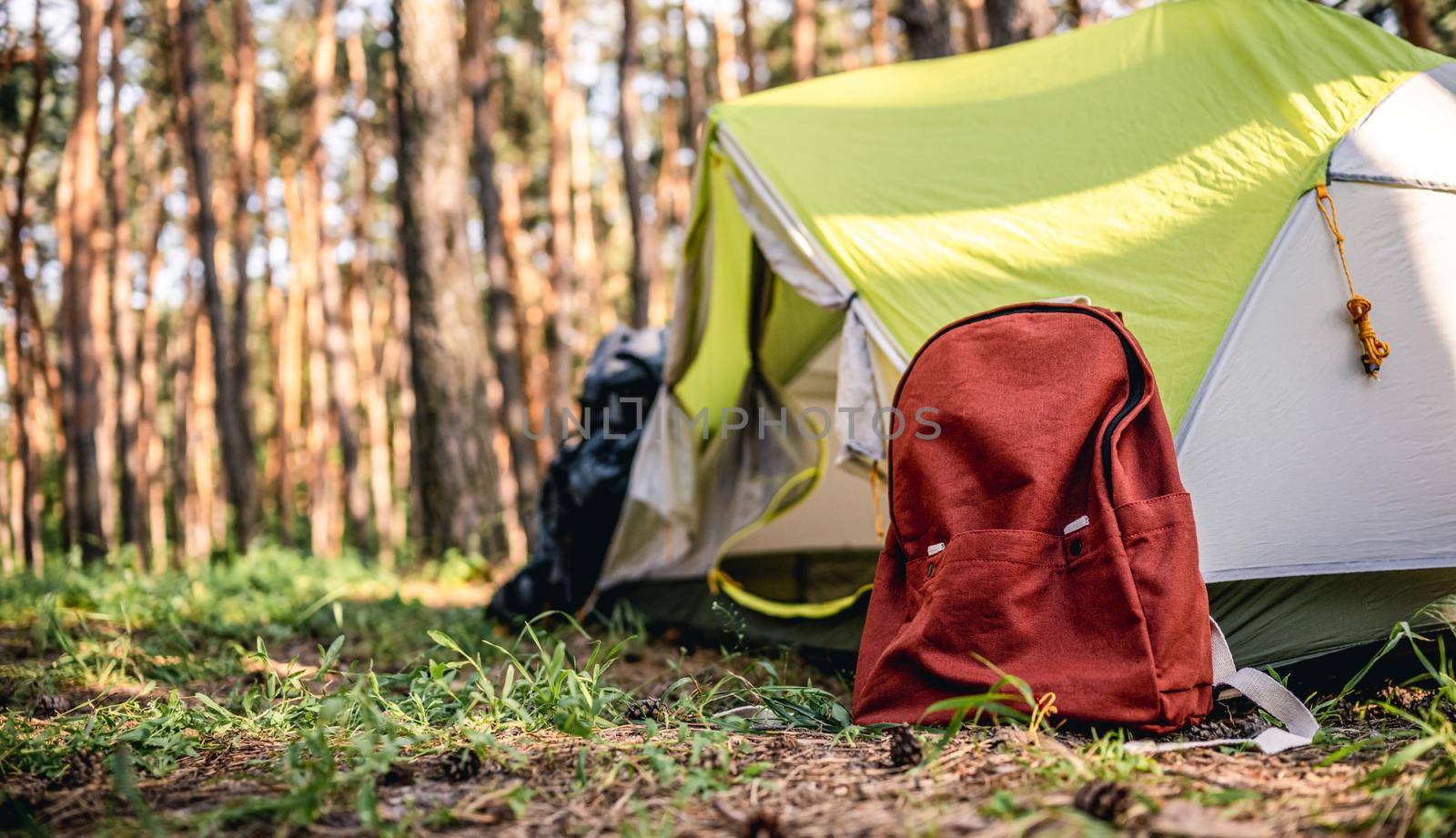 Camping in the forest with tent and beautiful nature in sunny day. Backpack lying on the groung at woodland. Vacation in the wood