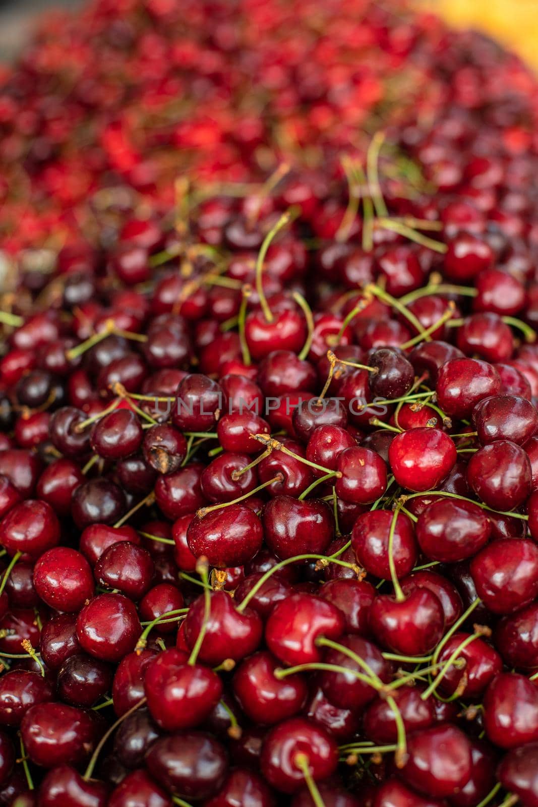 Close upu picture of a lot of burgundy, red cherries sold on the market. Fruit market by StudioLucky