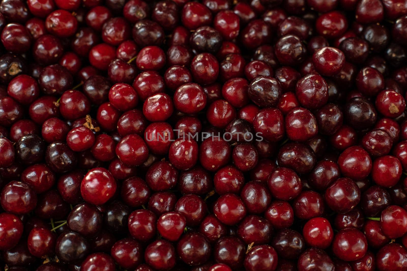 Close upu picture of a lot of burgundy, red cherries sold on the market. Fruit market .