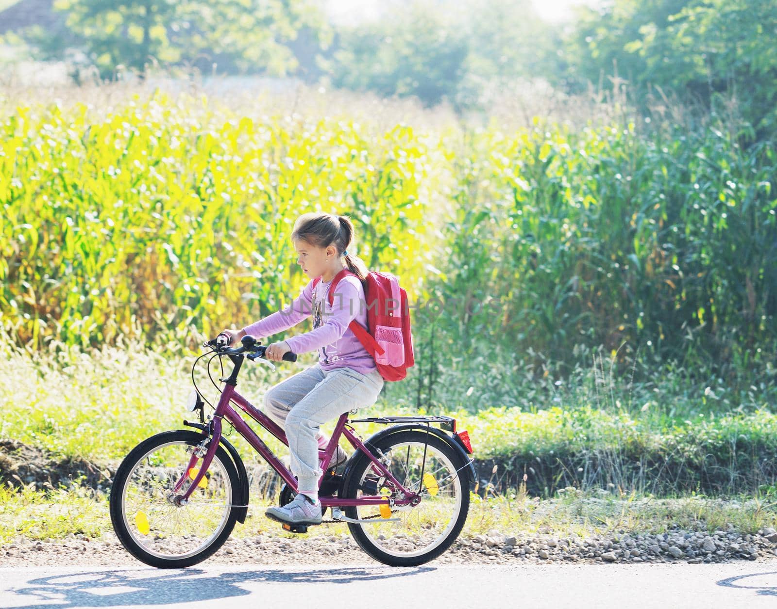 schoolgirl traveling to school on bicycle at early morning on beautiful nature