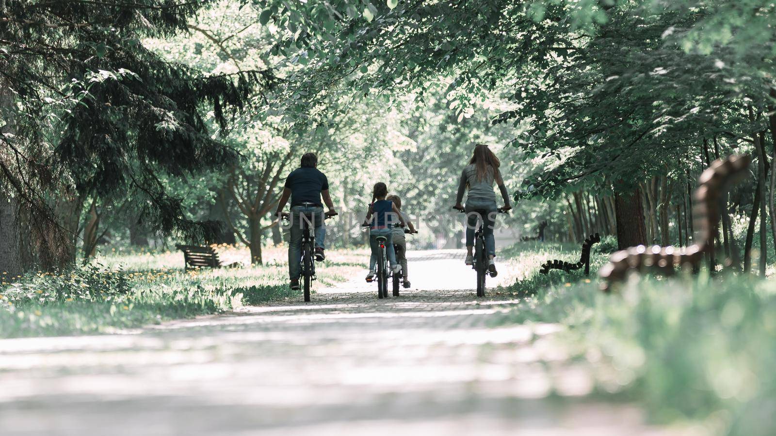 rear view . family on a morning bike ride.the concept of a healthy lifestyle