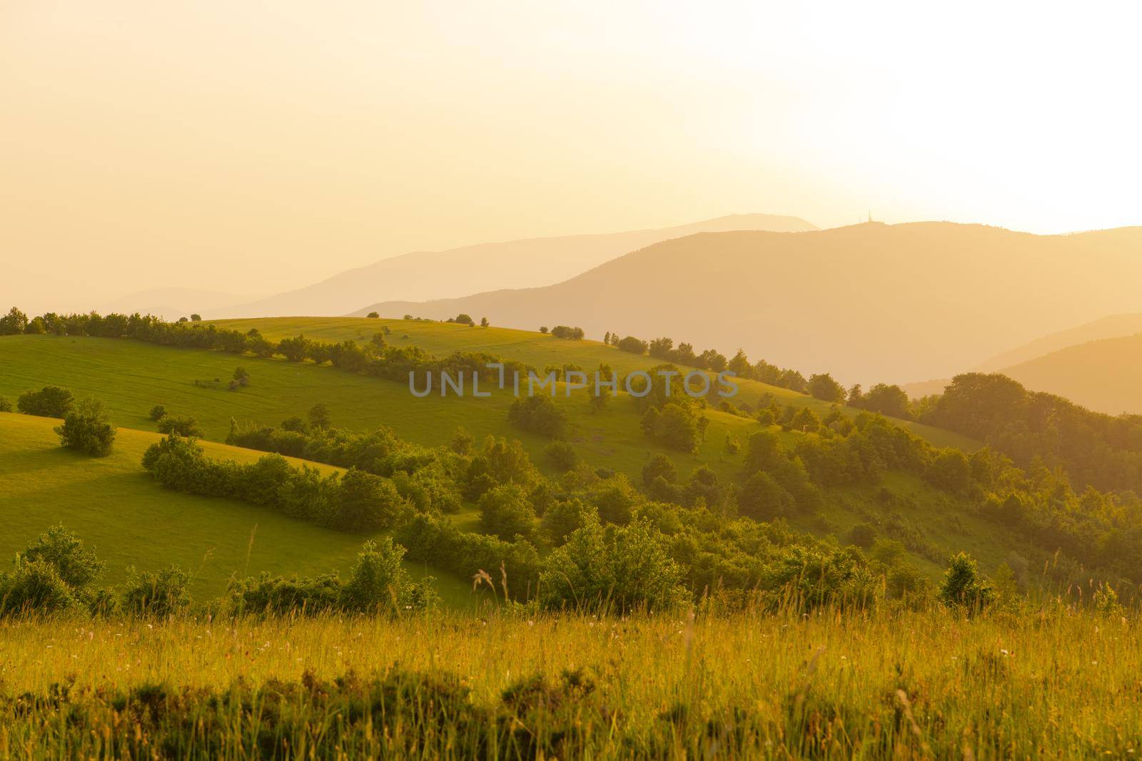 landscape of  summer nature in sunset in mountains and hills on countryside abstract lines and curves background