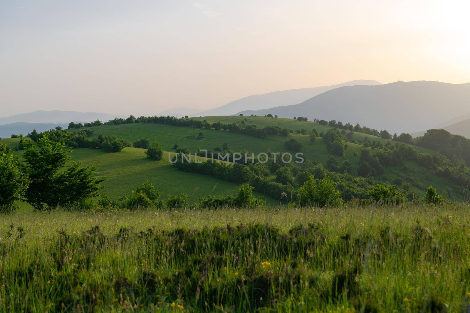 landscape of  summer nature in sunset in mountains and hills on countryside abstract lines and curves background