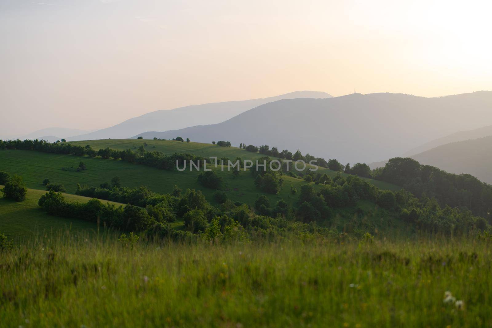 landscape nature summer by dotshock