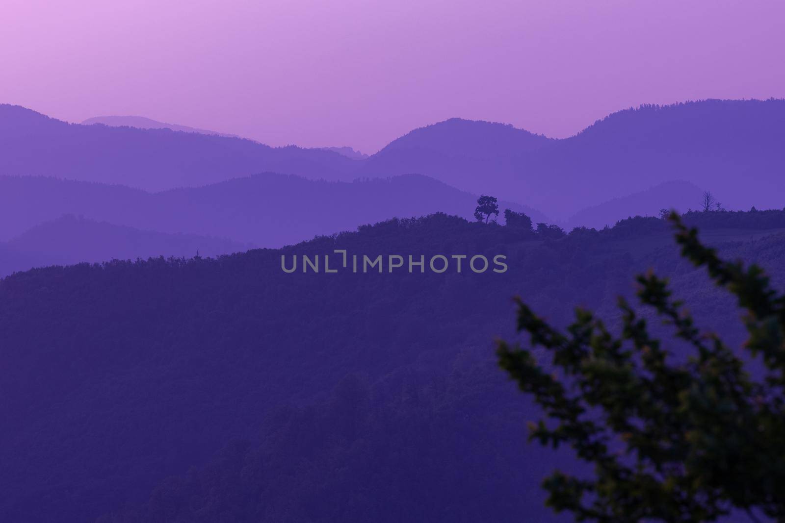 ultra violet purple summer landscape by dotshock