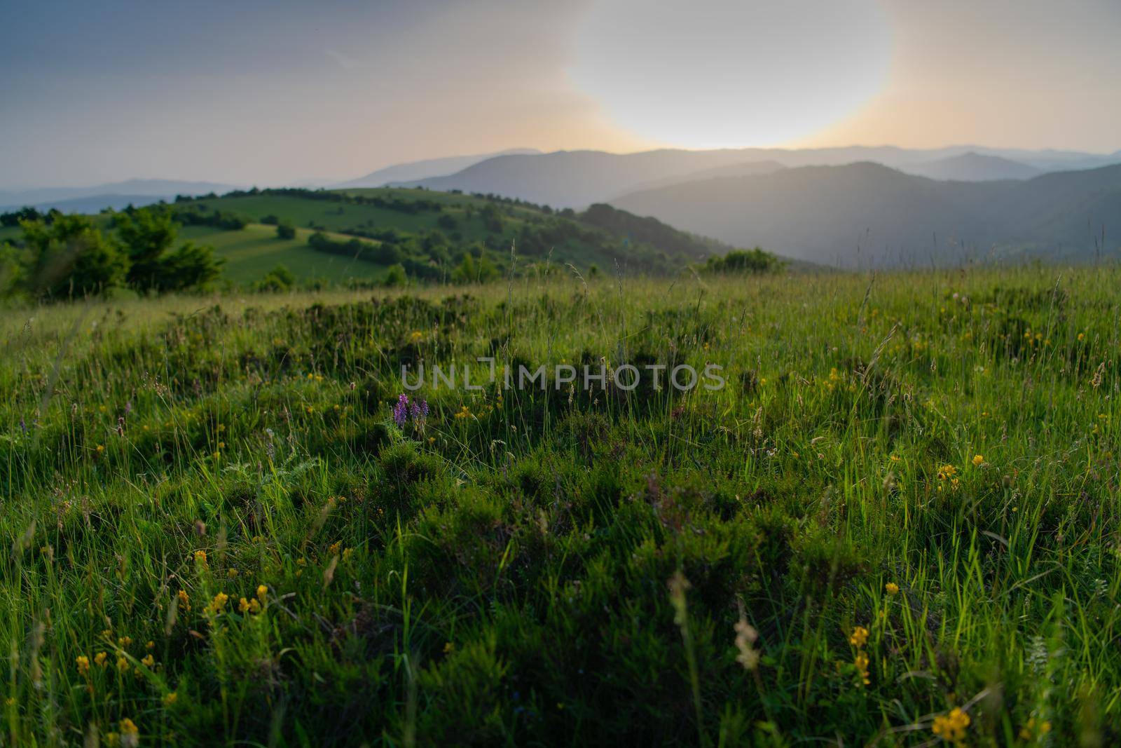 landscape of  summer nature in sunset in mountains and hills on countryside abstract lines and curves background