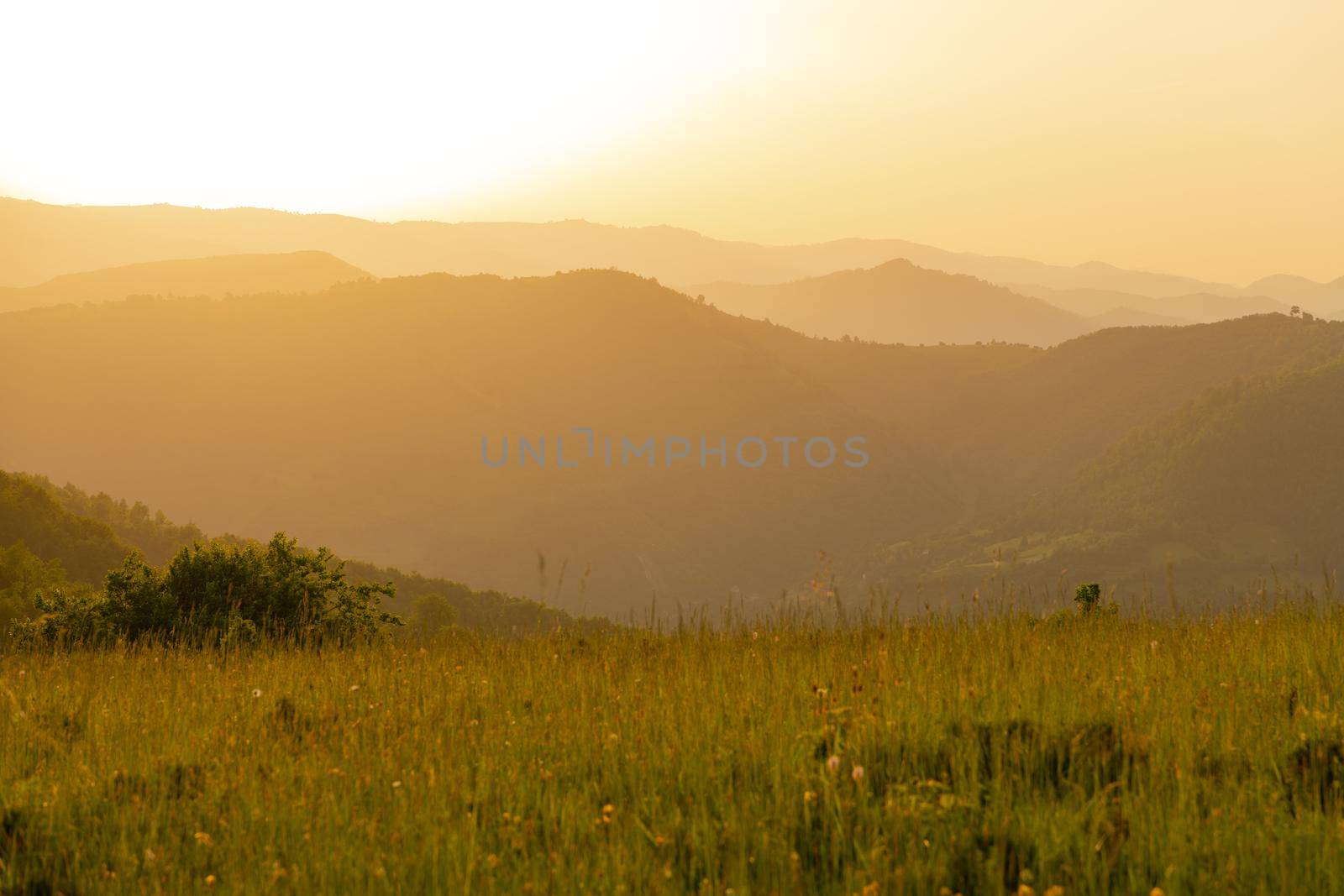 landscape of  summer nature in sunset in mountains and hills on countryside abstract lines and curves background