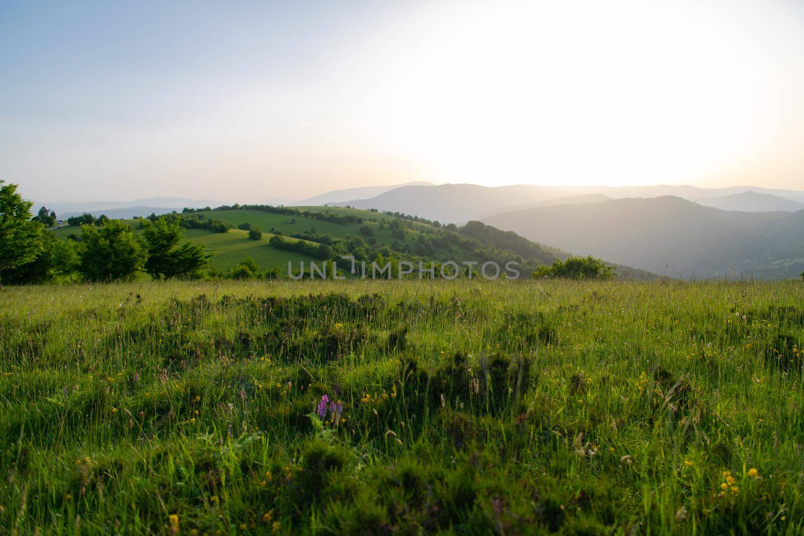 landscape of  summer nature in sunset in mountains and hills on countryside abstract lines and curves background