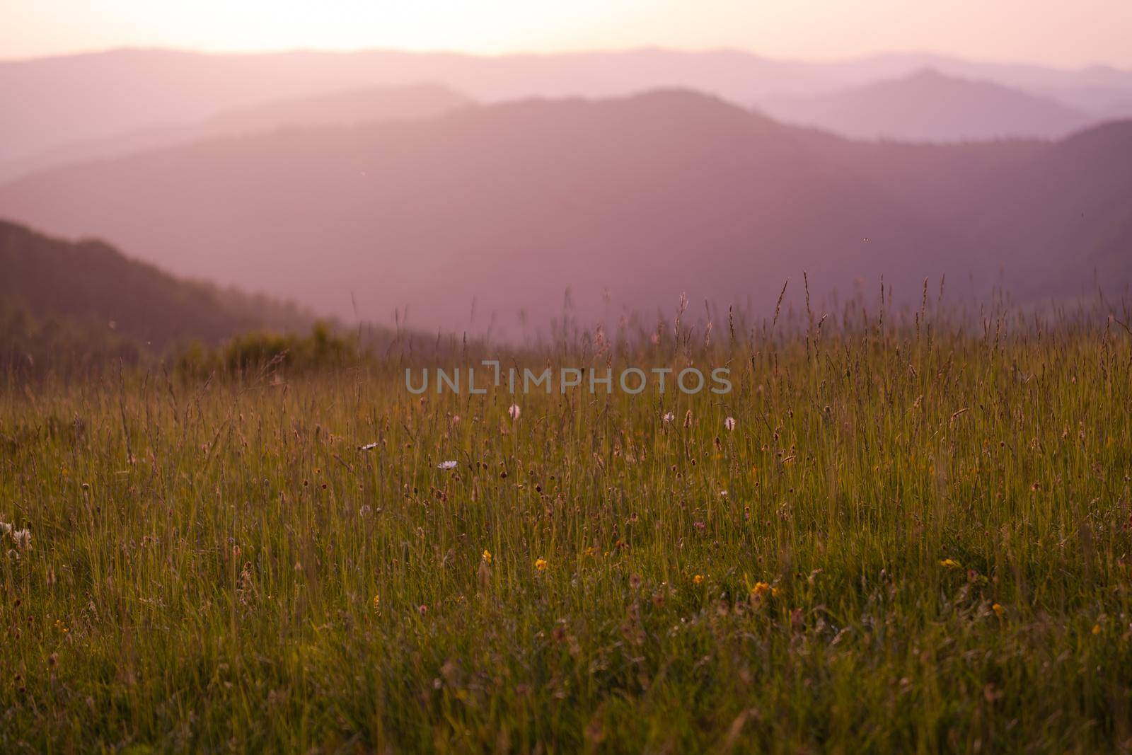 landscape of  summer nature in sunset in mountains and hills on countryside abstract lines and curves background