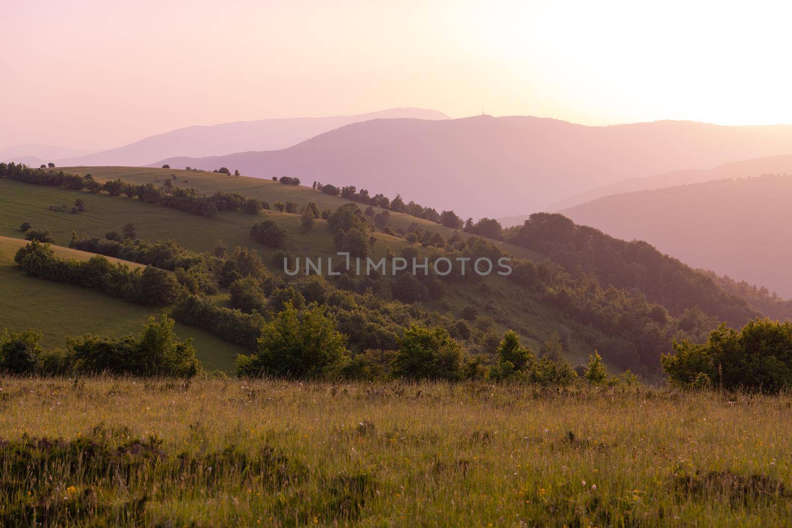 landscape of  summer nature in sunset in mountains and hills on countryside abstract lines and curves background