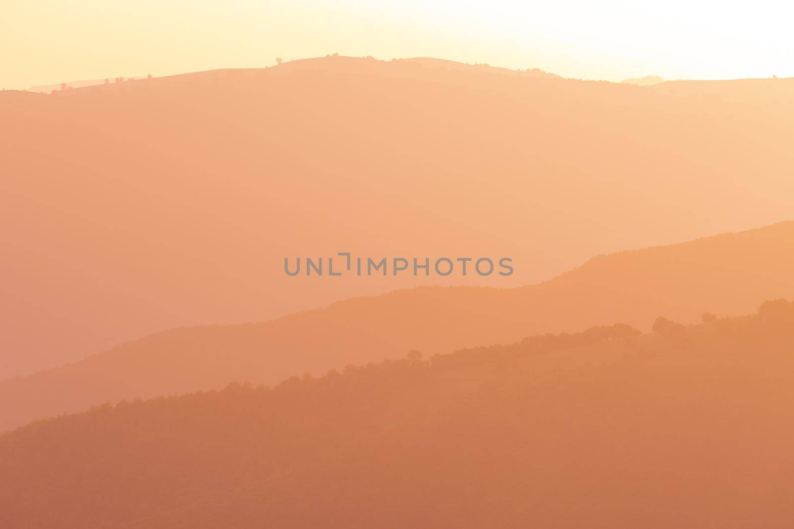 golden landscape of  summer nature in sunset in mountains and hills on countryside abstract lines and curves background