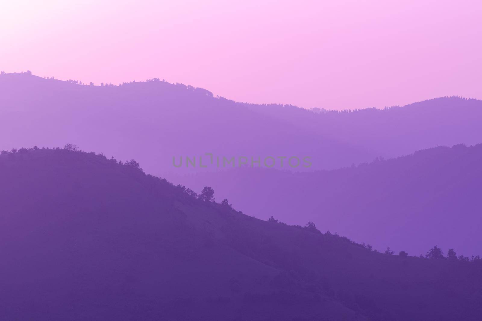 ultra violet purple summer landscape  nature in sunset in mountains and hills on countryside abstract lines and curves background