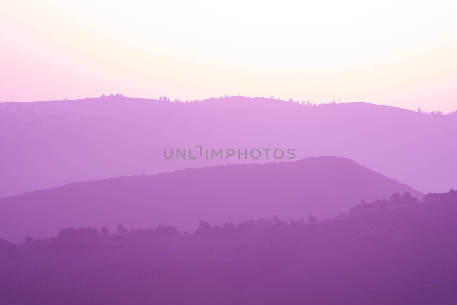 ultra violet purple summer landscape  nature in sunset in mountains and hills on countryside abstract lines and curves background