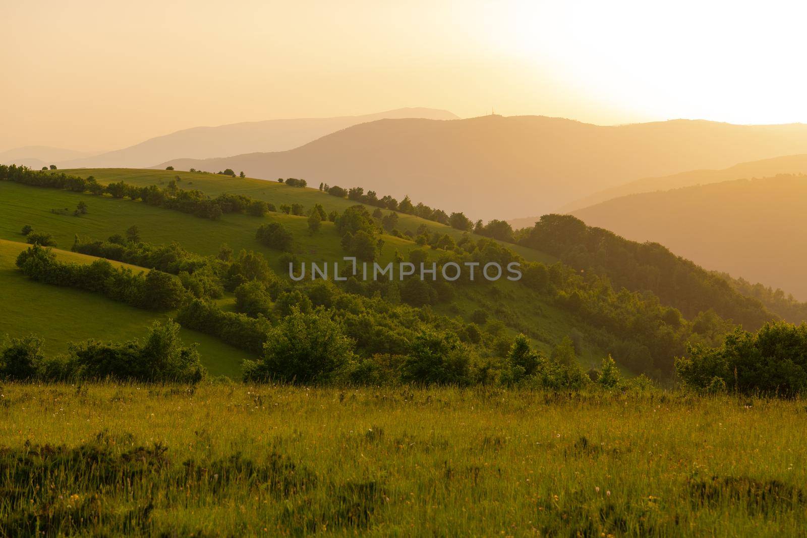 landscape of  summer nature in sunset in mountains and hills on countryside abstract lines and curves background