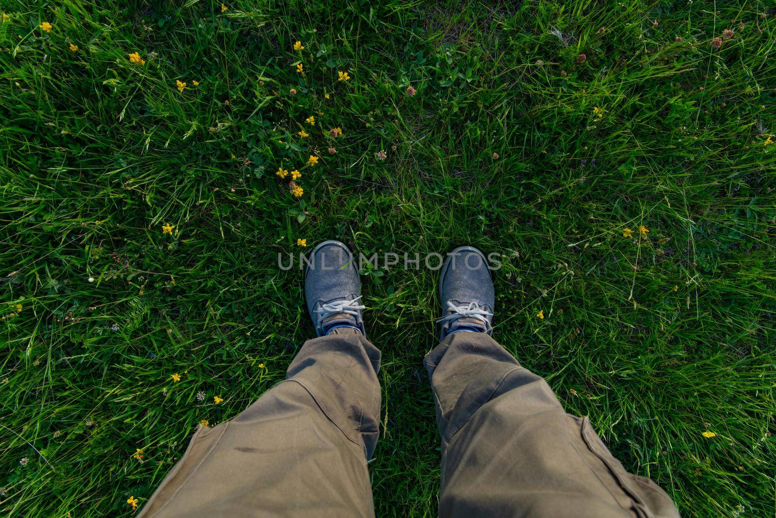top view of legs in grass wearing casual shoes