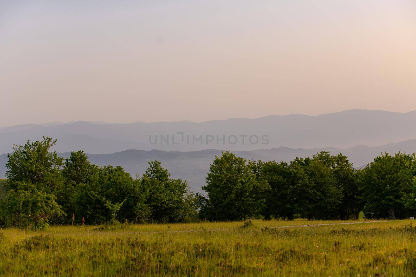 landscape of  summer nature in sunset in mountains and hills on countryside abstract lines and curves background