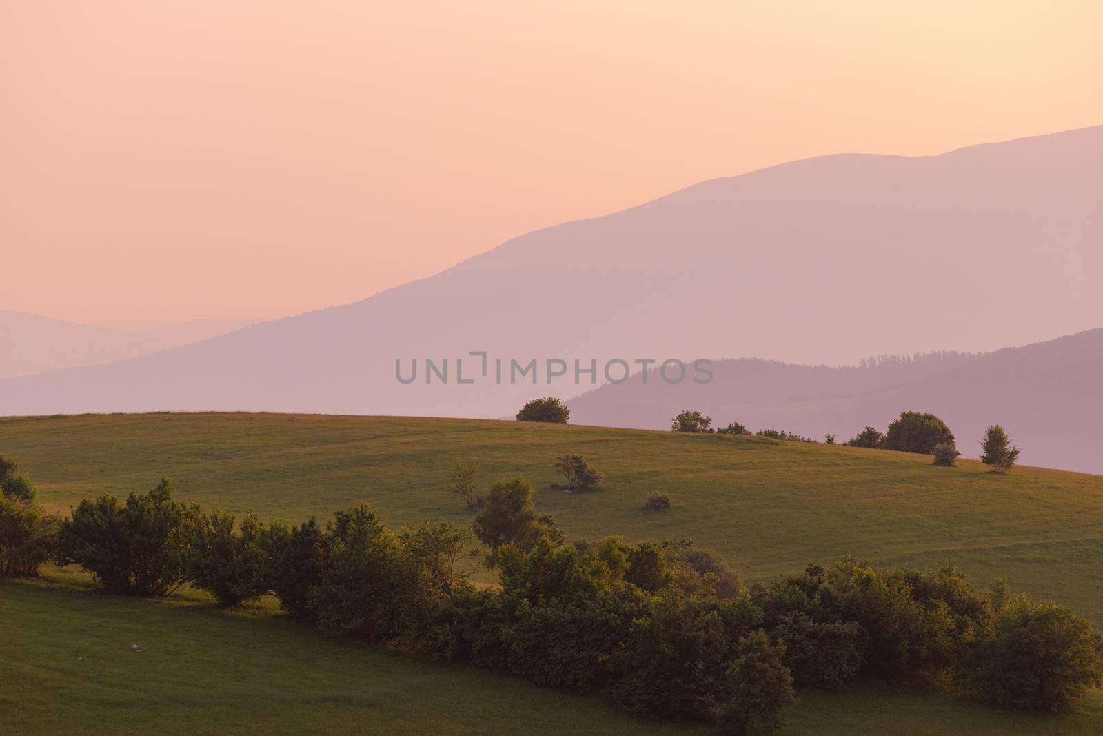 landscape nature summer by dotshock