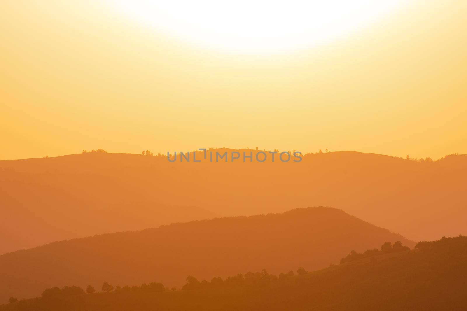 golden landscape of  summer nature in sunset in mountains and hills on countryside abstract lines and curves background