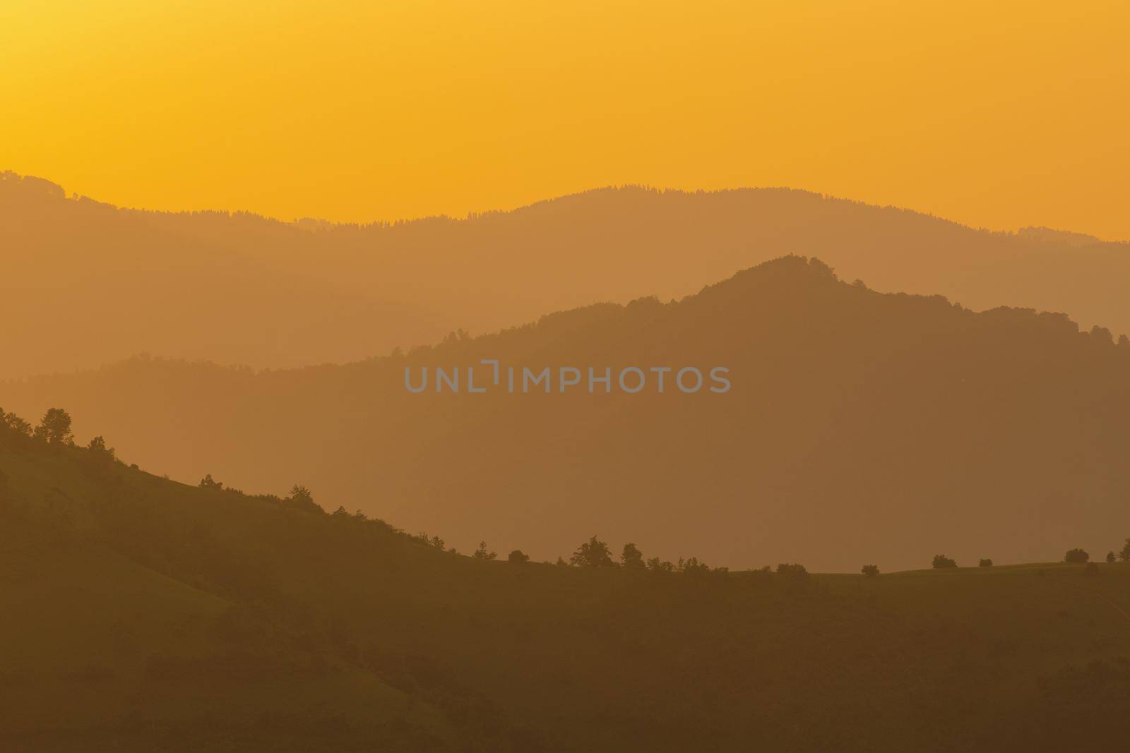 golden landscape of  summer nature in sunset in mountains and hills on countryside abstract lines and curves background
