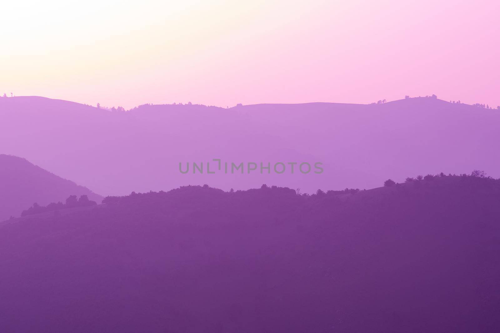 ultra violet purple summer landscape by dotshock