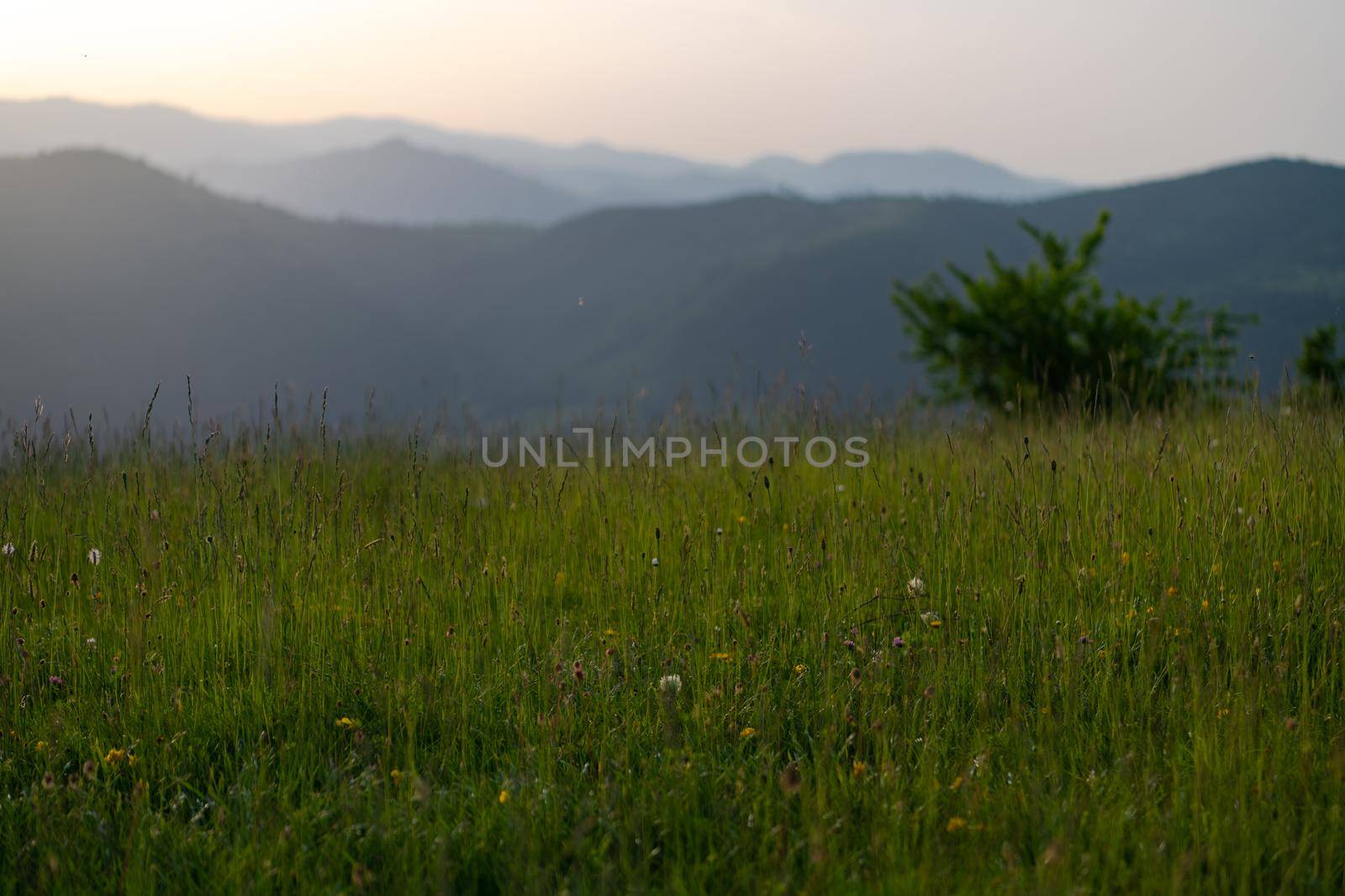 landscape of  summer nature in sunset in mountains and hills on countryside abstract lines and curves background