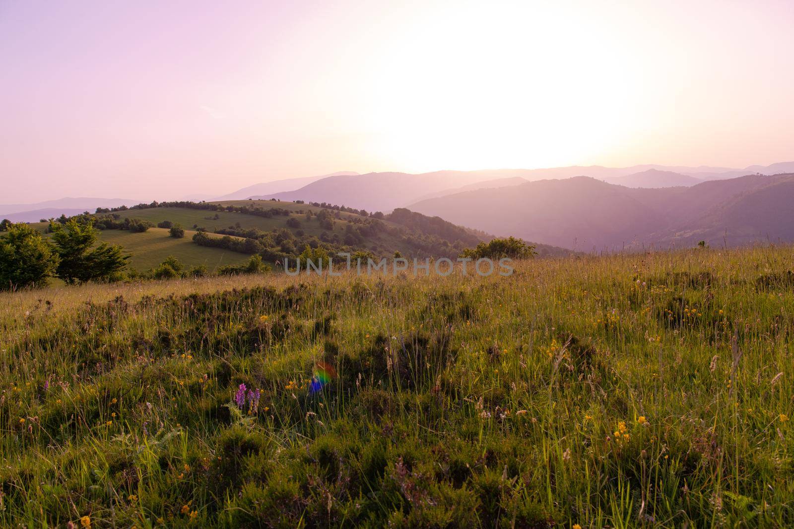 landscape of  summer nature in sunset in mountains and hills on countryside abstract lines and curves background