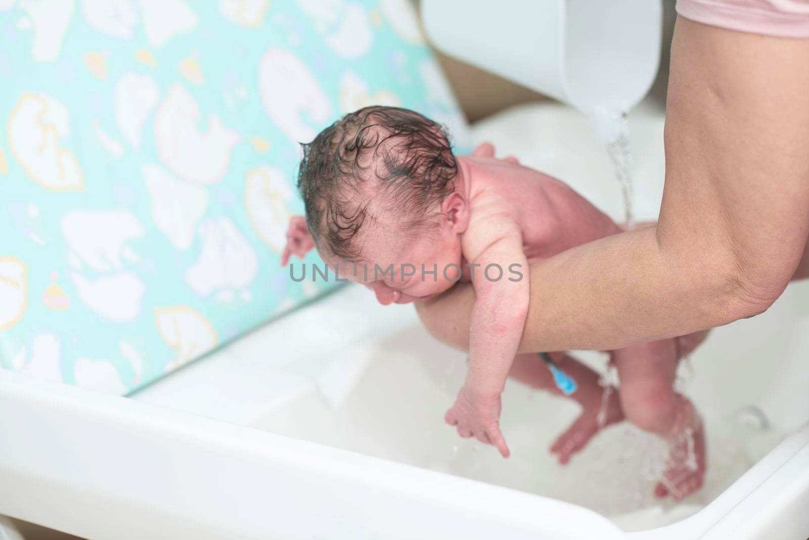 Newborn baby girl taking a first bath by dotshock