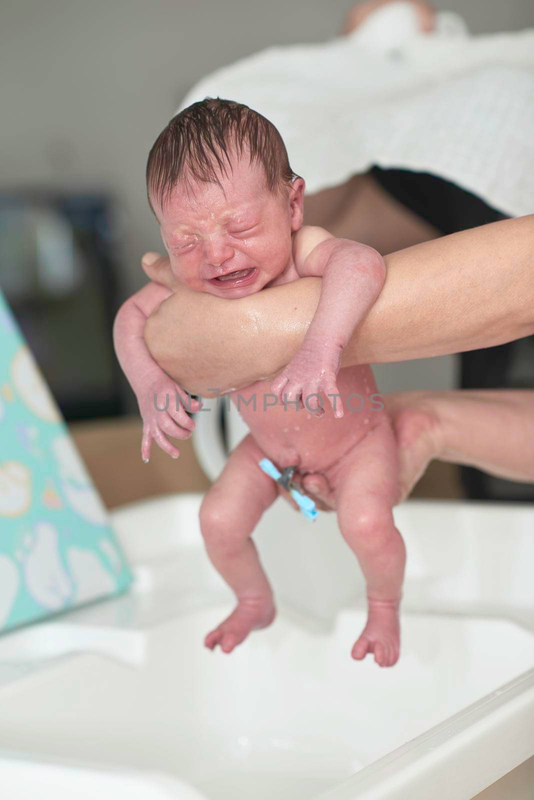 Newborn baby girl taking a first bath by dotshock