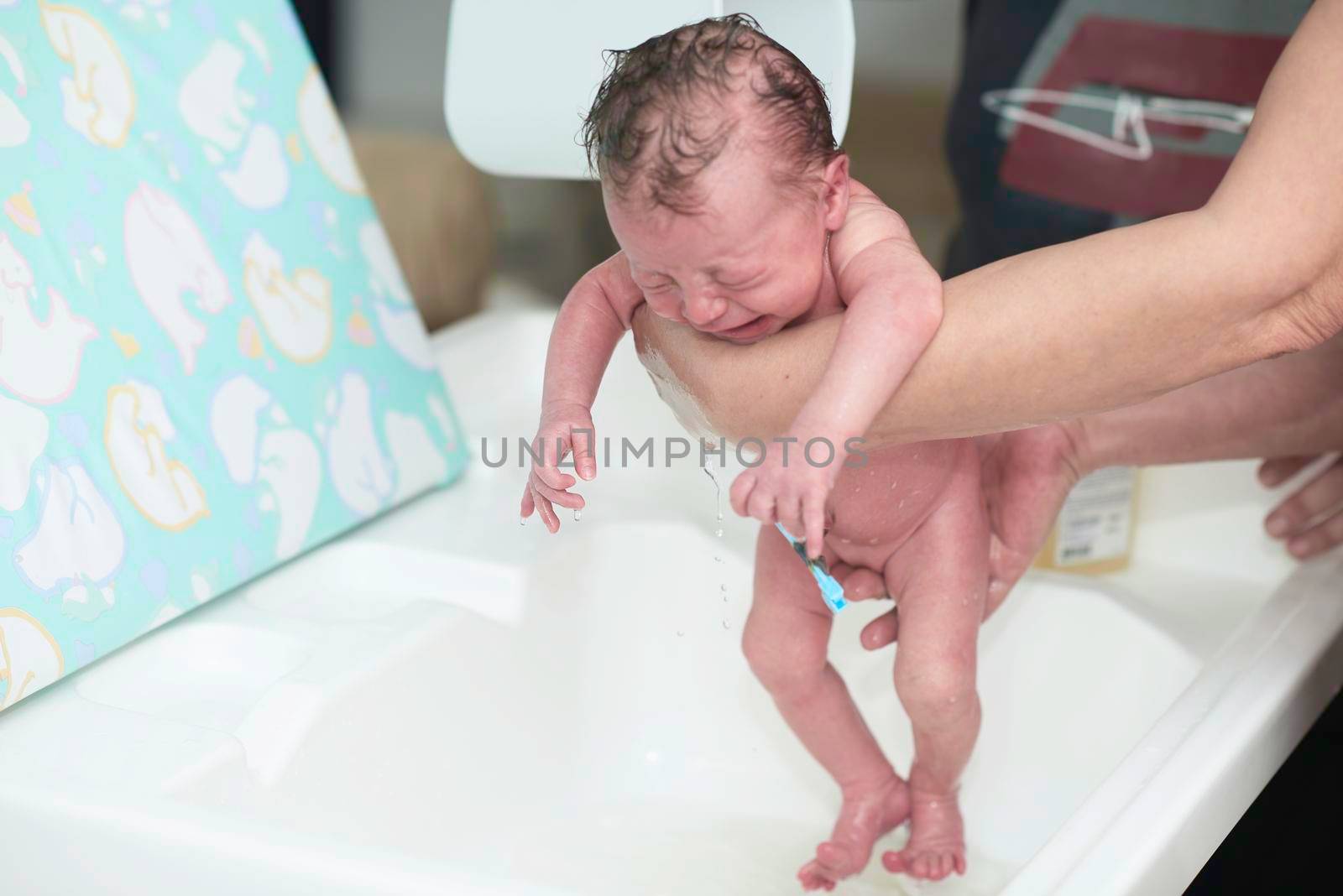 Mother is bathing Newborn baby girl taking a first bath