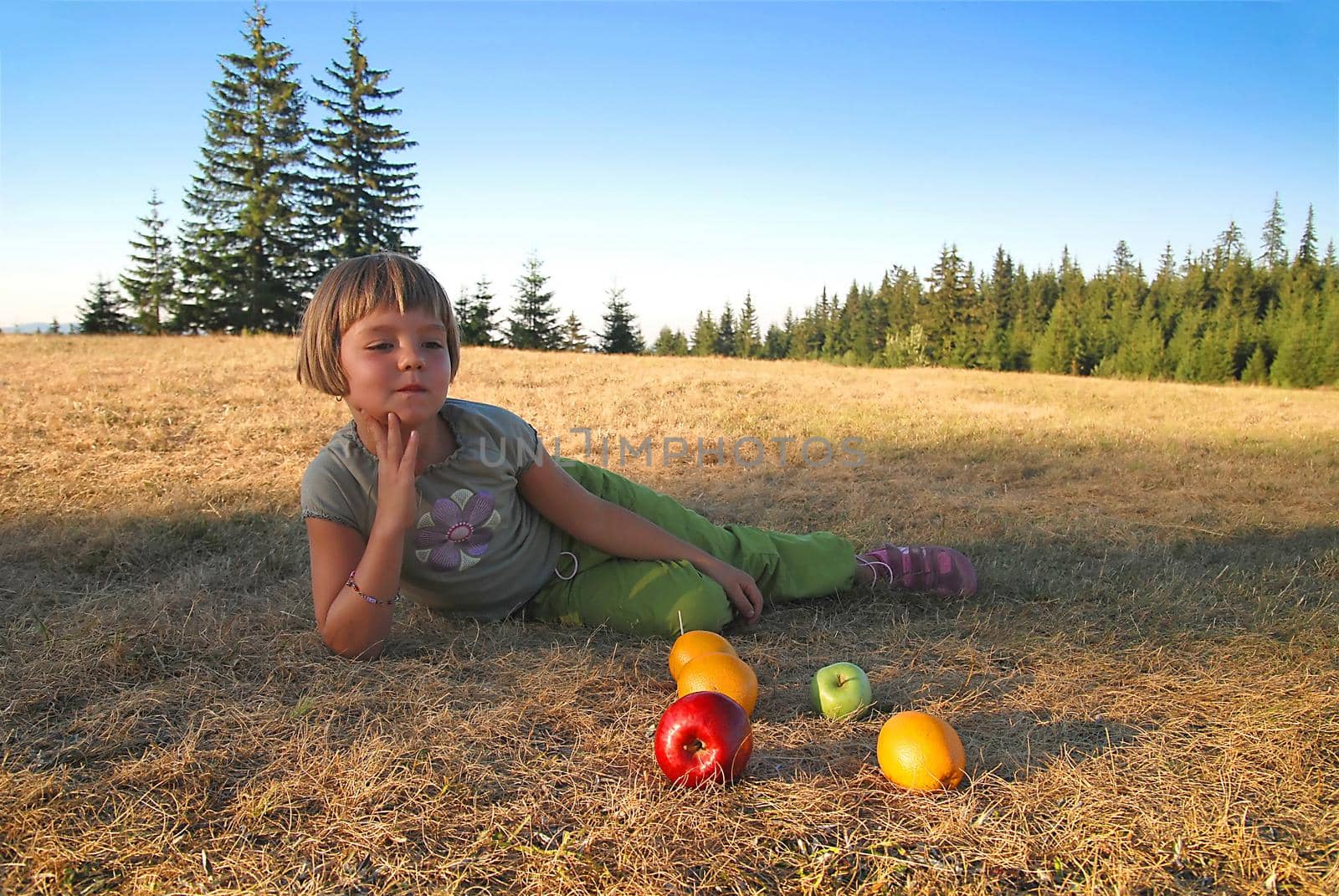 healthy picnic by dotshock