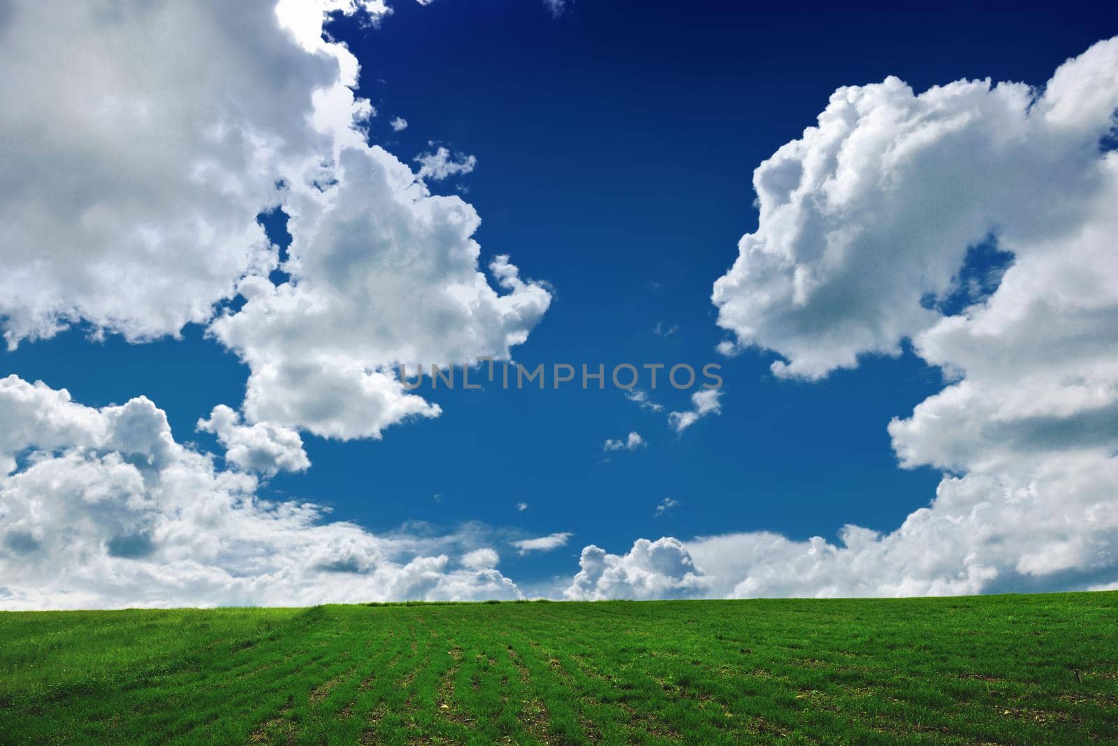 grass and sky nature backgrond by dotshock
