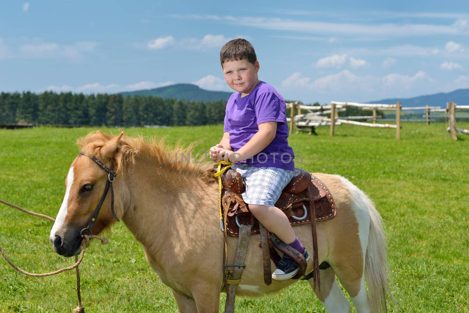 child ride pony by dotshock