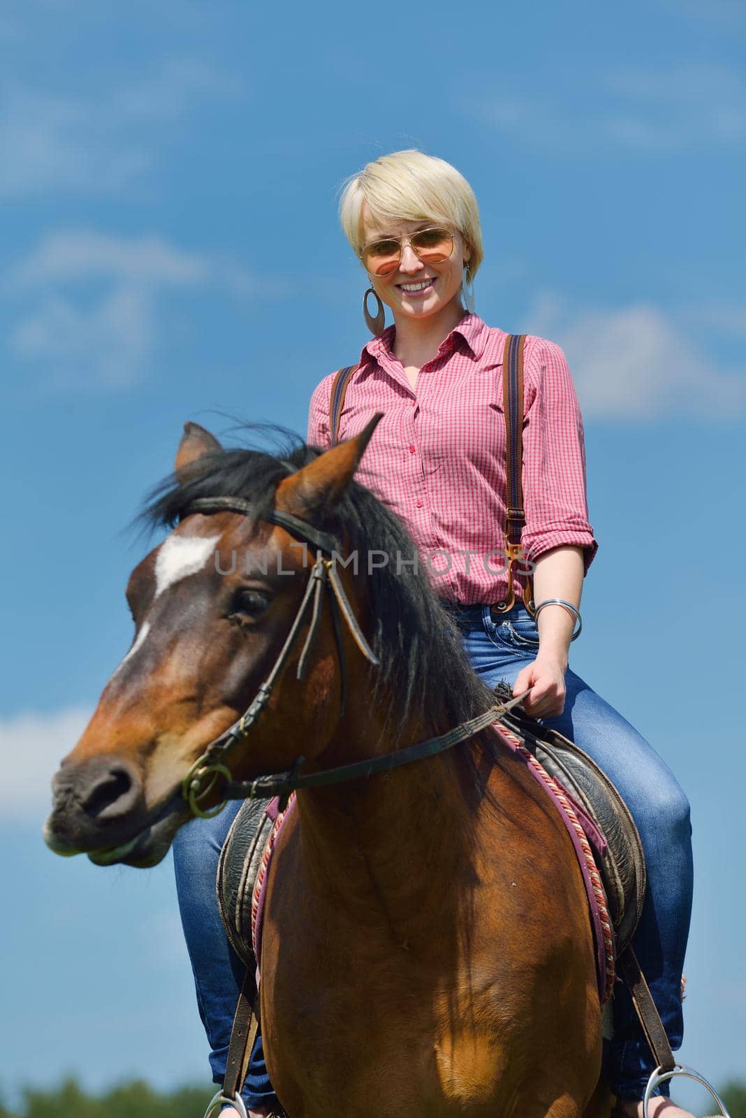 happy woman  on  horse by dotshock