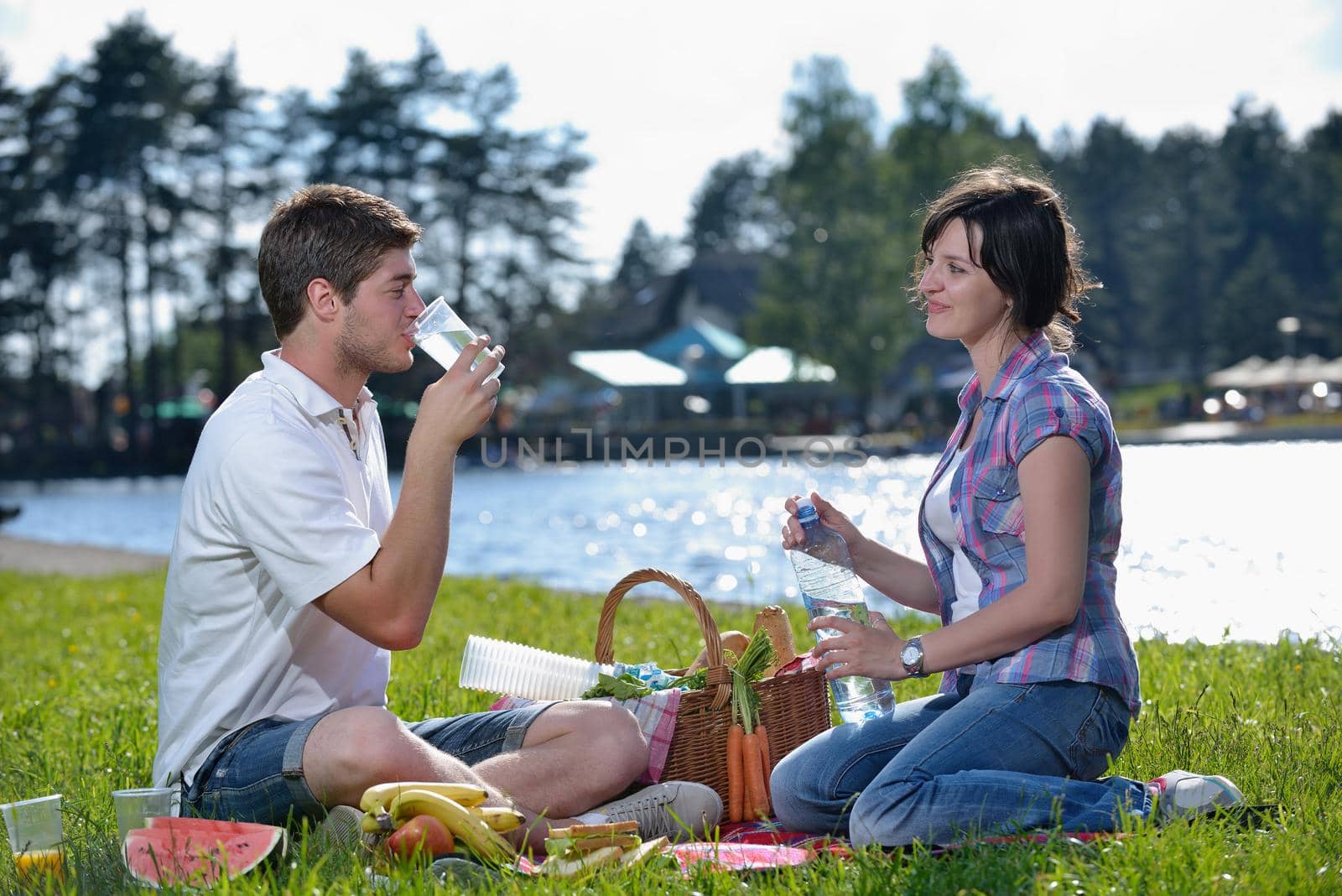 happy young couple having a picnic outdoor by dotshock