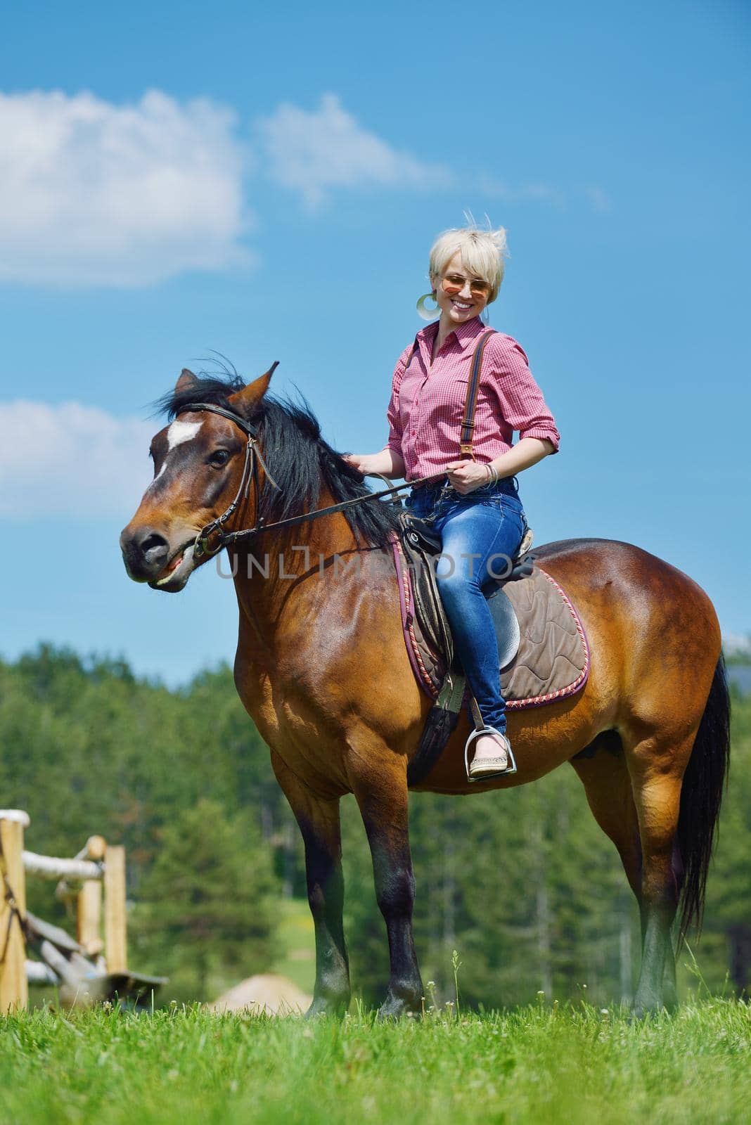happy woman  ride  horse by dotshock