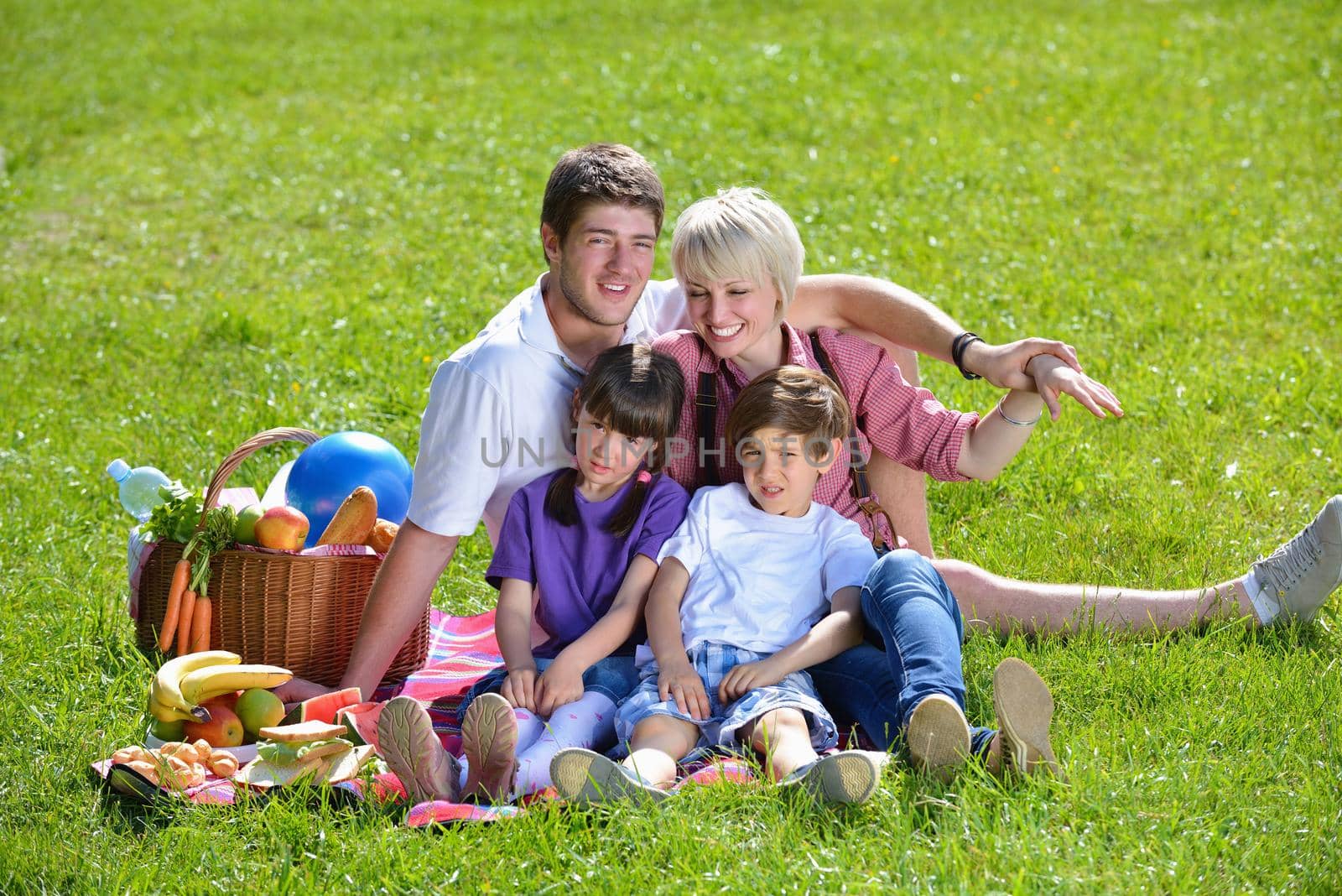 Happy family playing together in a picnic outdoors by dotshock
