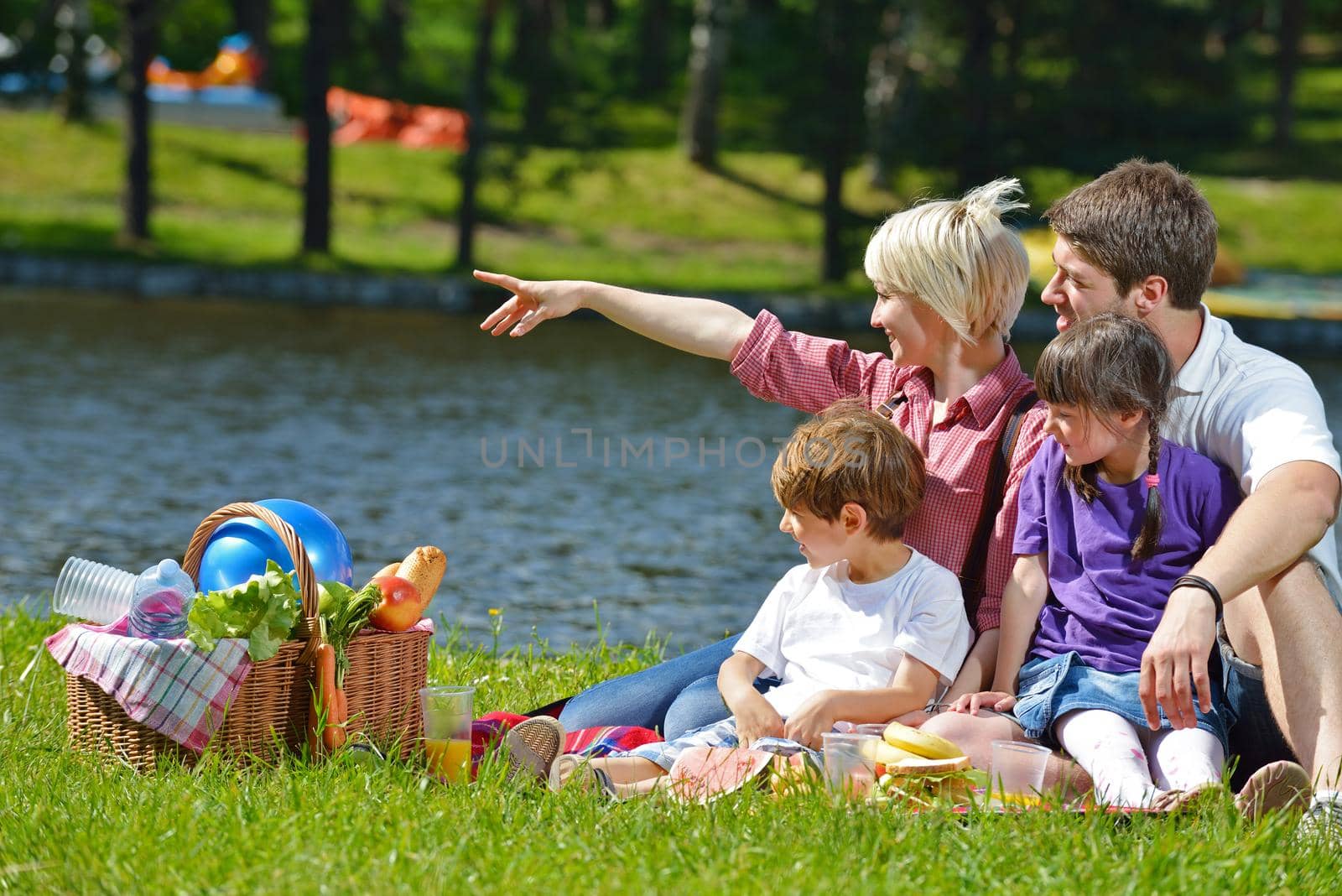 Happy family playing together in a picnic outdoors by dotshock
