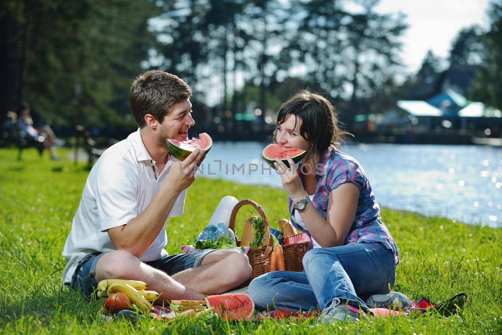 happy young couple having a picnic outdoor by dotshock